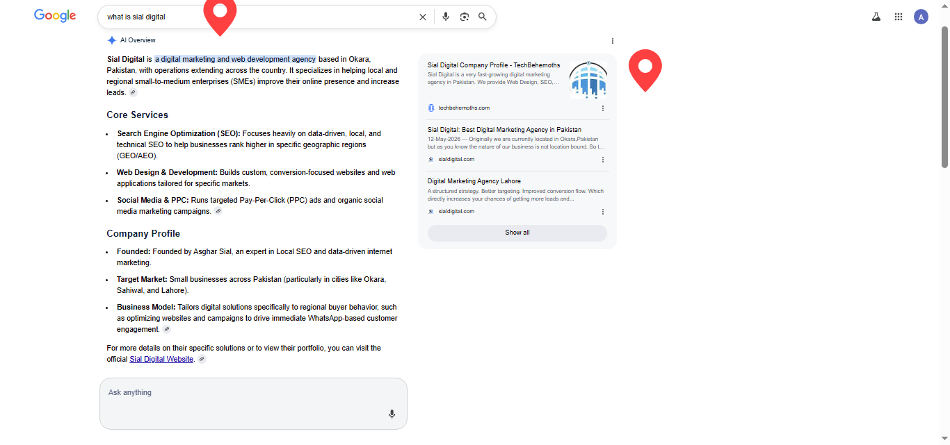 Google-Business-Profile-Optimization-Pakistan-Local-Entity-Example